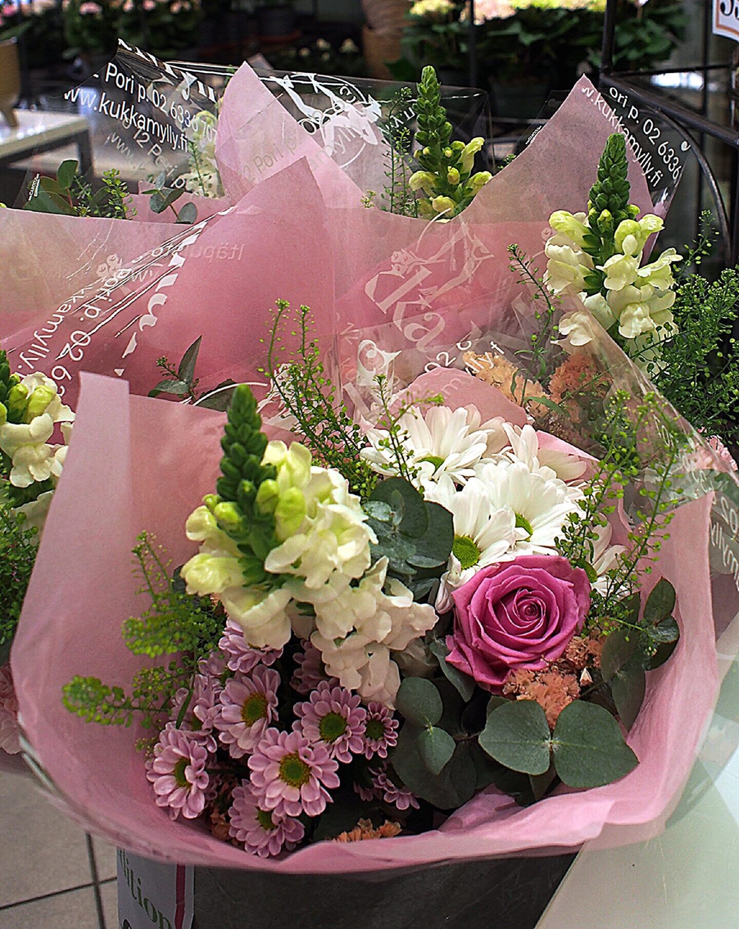 p1010034_muok